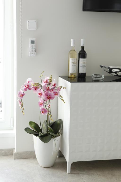 Cozy Studio Holandska Apartment *